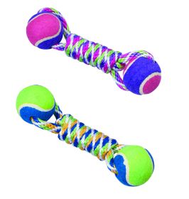 Rainbow Twister 2-ball Big Dumbbell Dog Toy